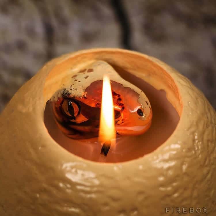 candle-baby-raptor