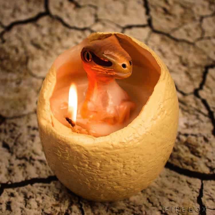 candle-raptor