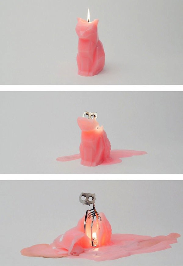 cat-candle