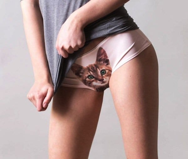 cat-panty