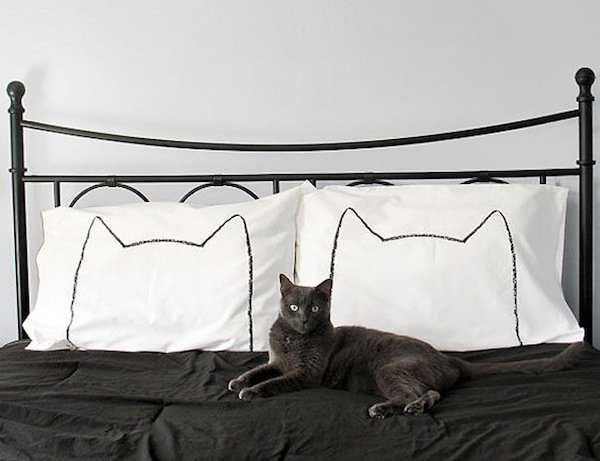 cat-pillow