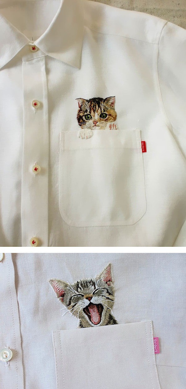 cat-pocket