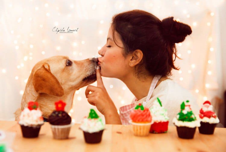 cupcakes woman kissing dog