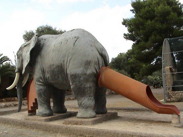 elephant slide