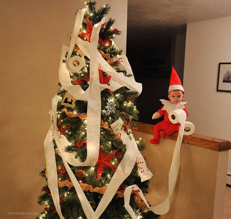 elf toilet paper