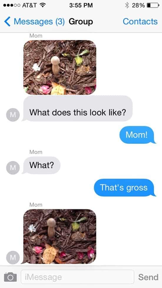 funny-moms-fungi