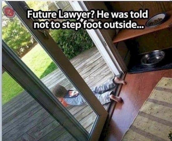 future lawyer