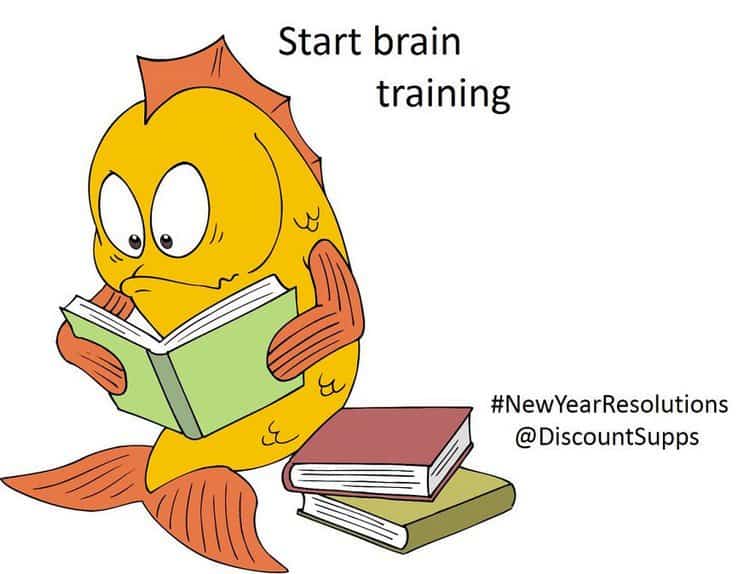 goldfish brain training