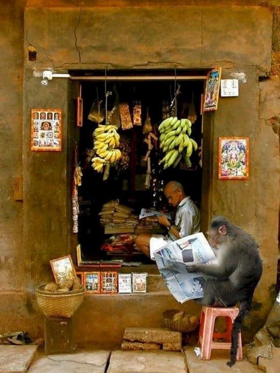 india newspaper reading