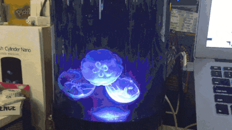 jellyfish moving
