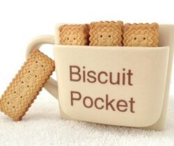 large biscuit pocket mug