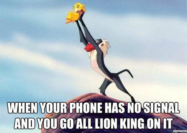 lion king phone signal