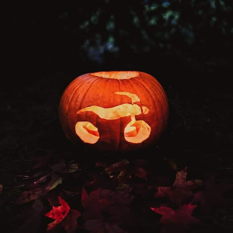 motorbike-pumpkin