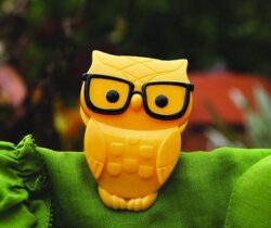 nerd owl clips