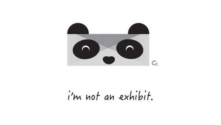 panda exhibit