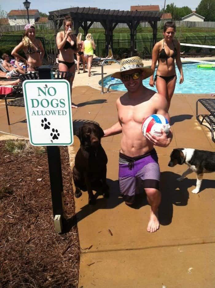 poolside no dogs