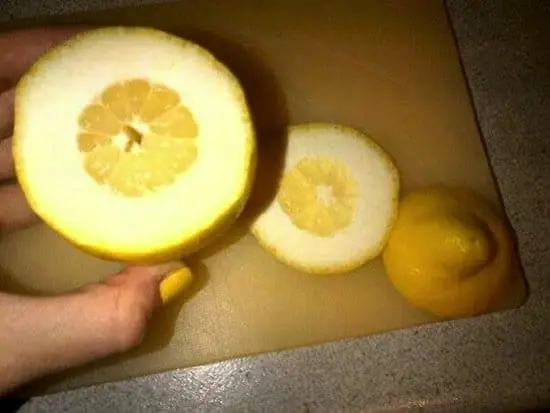 problem-lemon