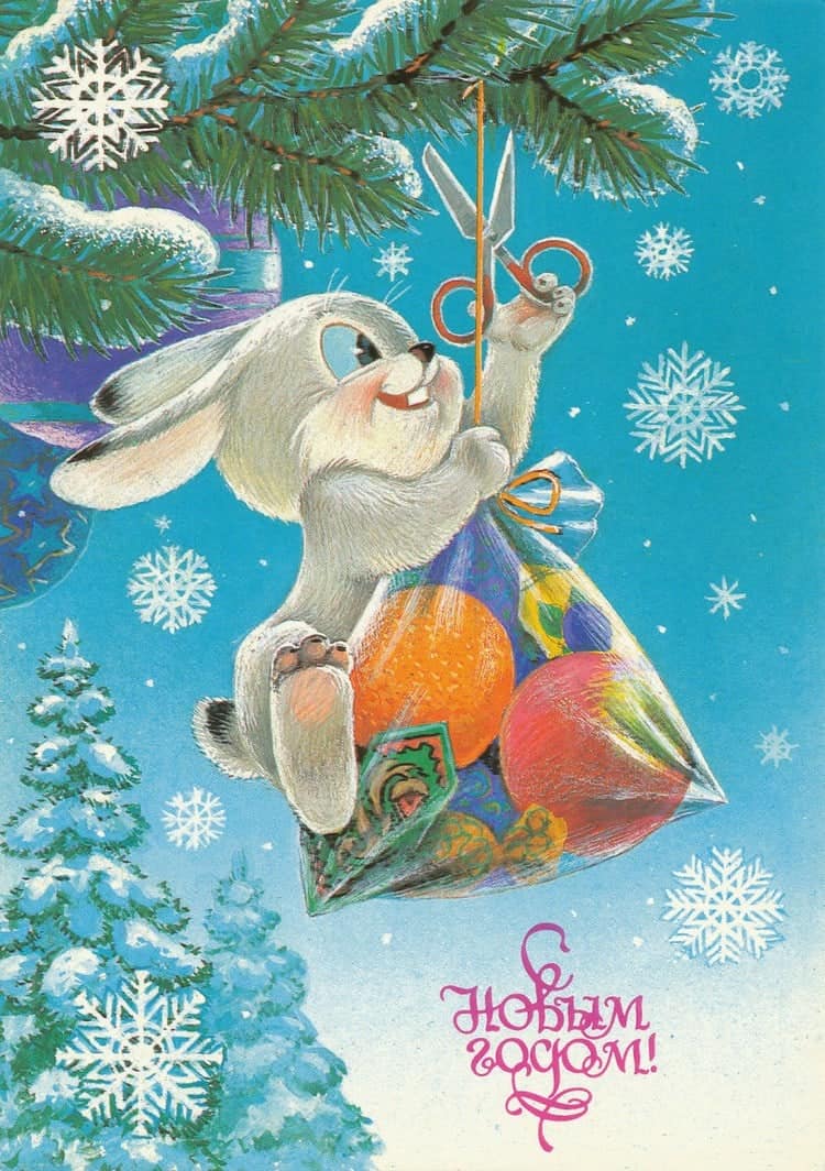rabbit card