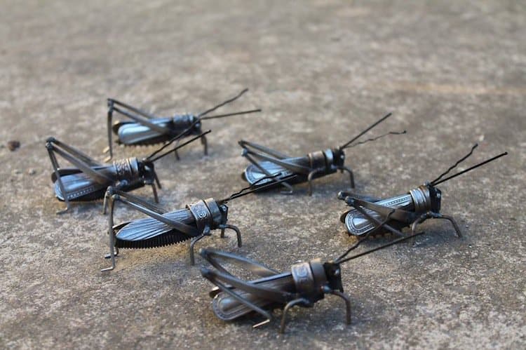 scrap-grasshoppers