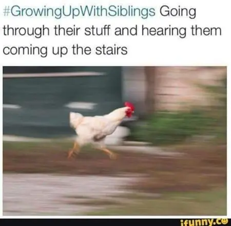 15 Of The Best #GrowingUpWithSiblings Images