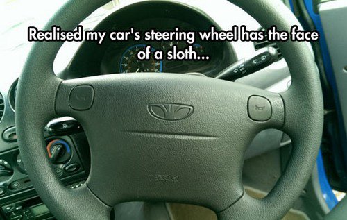 steering wheel sloth
