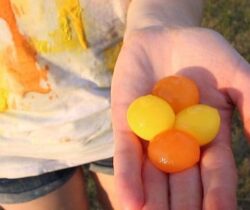 throwable paint balls