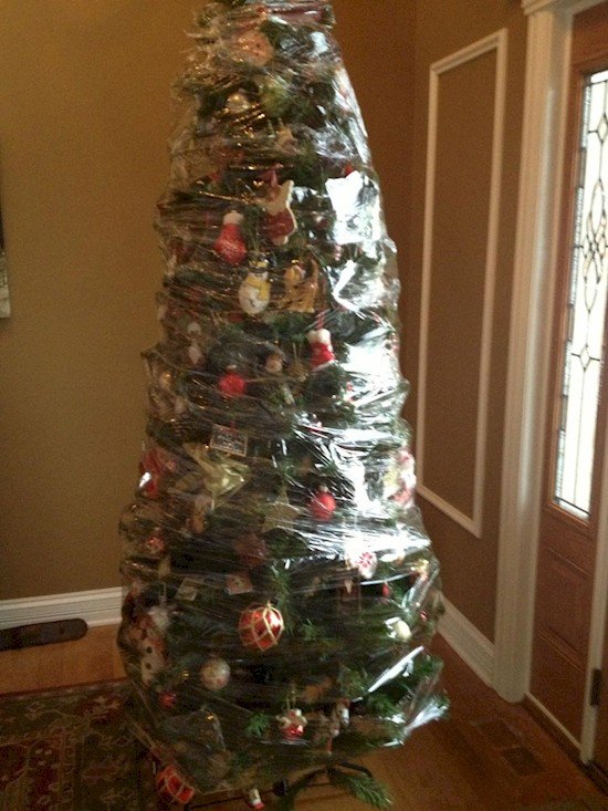 tree saran wrap