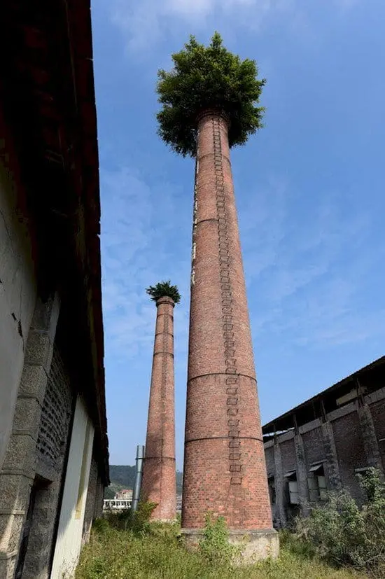 trees sprouting chimneys