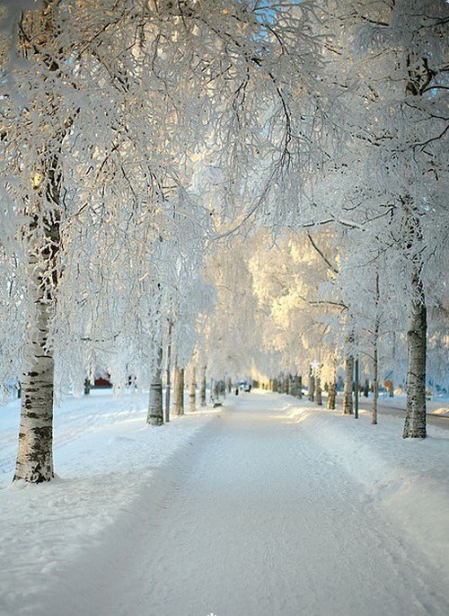 winter walk expectation