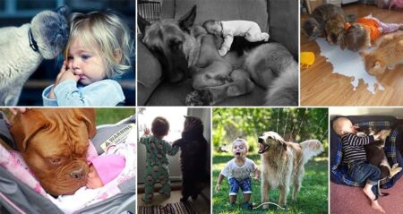 Adorable Children With Animals Pets 1