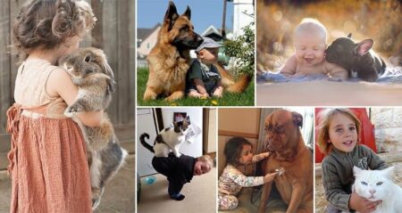 Adorable Children With Animals Pets 2