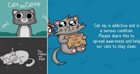 Cats On Catnip Bacon Bathrobe Comics