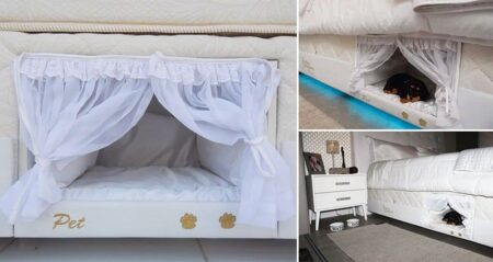 Colchao Inteligente Postural Pet Bed