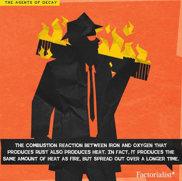 11 Fascinating Facts About Rot And Decay That You Probably Didn't Know