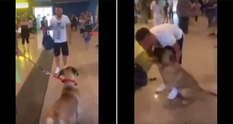 Dog's Joy Seeing His Owner After Three Years