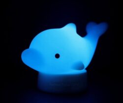 Dolphin Bath Light