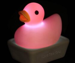 Duck Bath Light