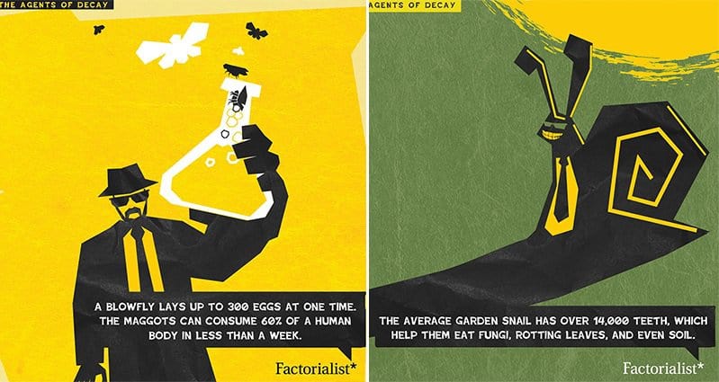 11 Fascinating Facts About Rot And Decay That You Probably Didn't Know