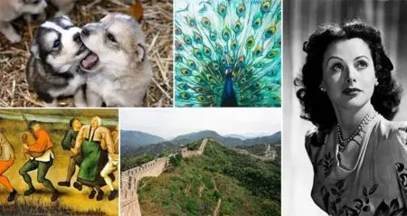 Fantastic Facts You Never Knew