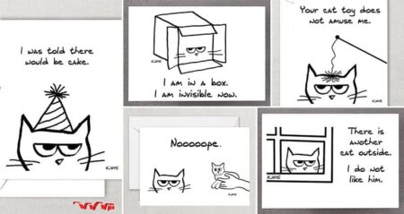 Funky Chic Designs Cards Cat Lovers