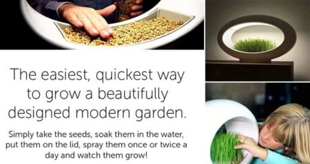 Grasslamp Miniature Garden Table Lamp