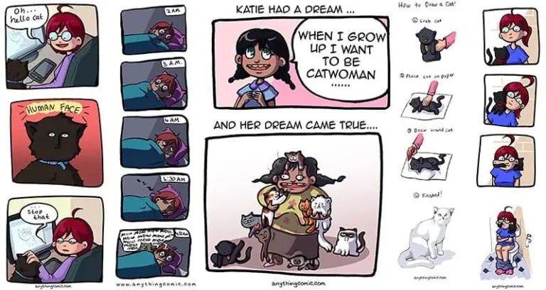 Hilarious Comics Living With Cat