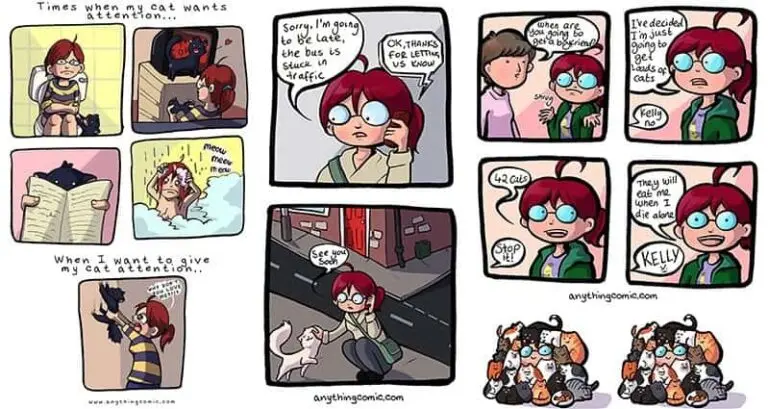 Hilarious Comics Living With Cats