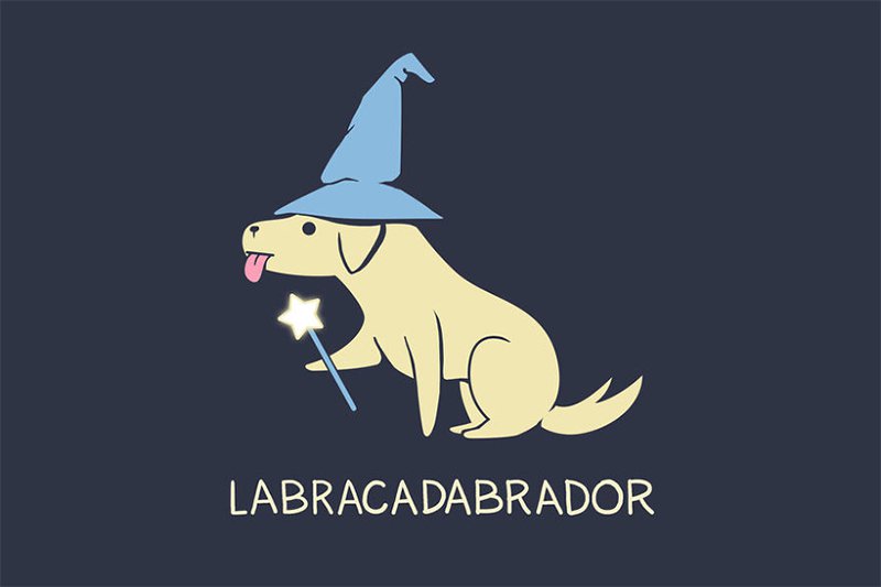 Labracadabor