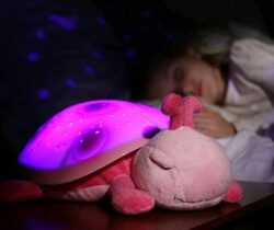 Ladybug Constellation Nightlight