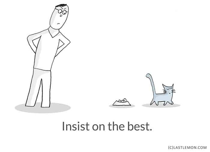 Life-Lessons-from-Cats-best