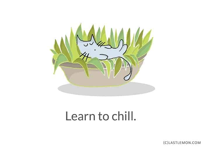Life-Lessons-from-Cats-chill