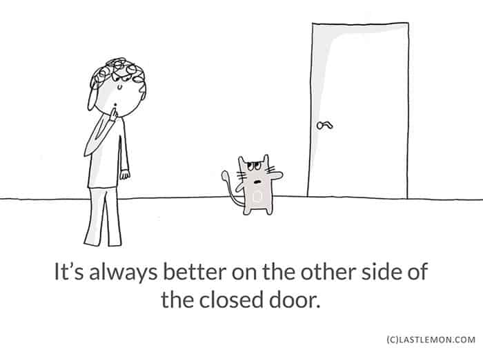 Life-Lessons-from-Cats-door