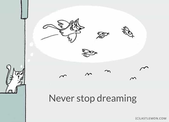 Life-Lessons-from-Cats-dream