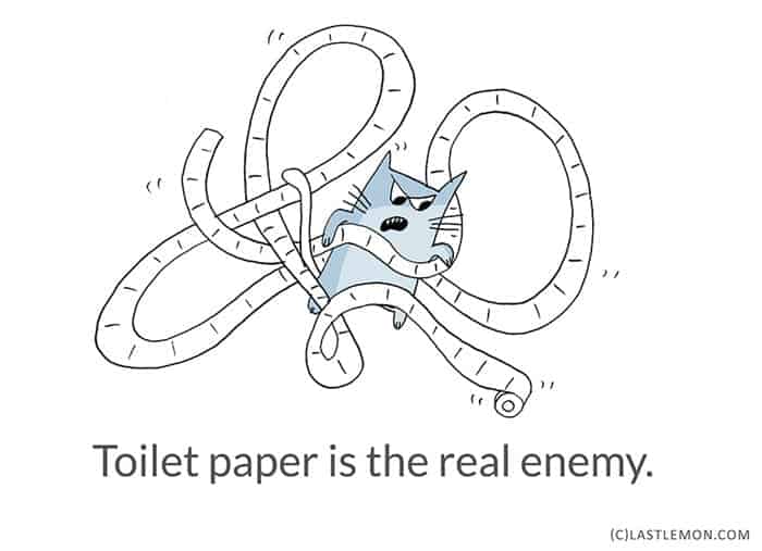 Life-Lessons-from-Cats-loo-roll